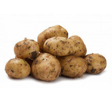 Овощи и фрукты