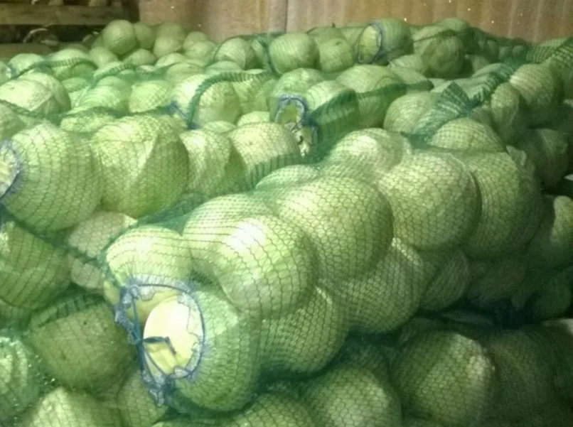 Капуста б/к свежая