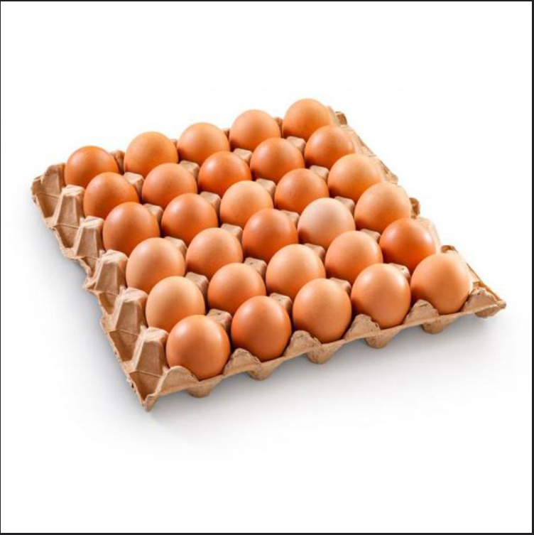Яйцо куриное C1